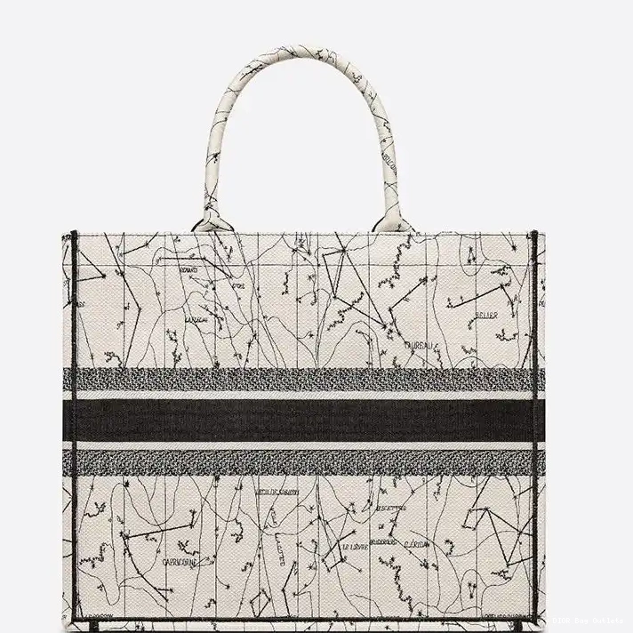 Affordable Hot Book Motif Tote Dior Canvas Grey Constellation 0210